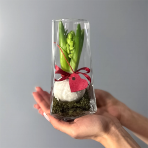 Подарочный «Цветок гиацинта»